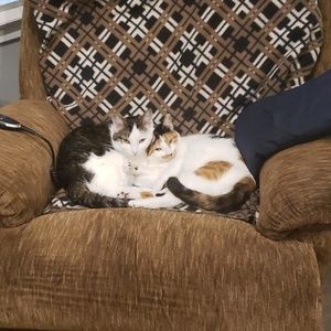 Meet your Posher, Sandy